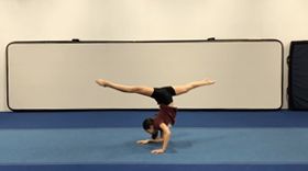 The DanceBUG Show Archives Elbow Stands 101