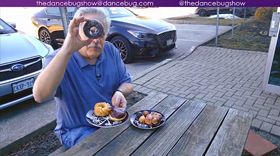 The DanceBUG Show Archives Doughnut Holes