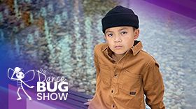 The DanceBUG Show Archives Running Through the 6ix with Roman
